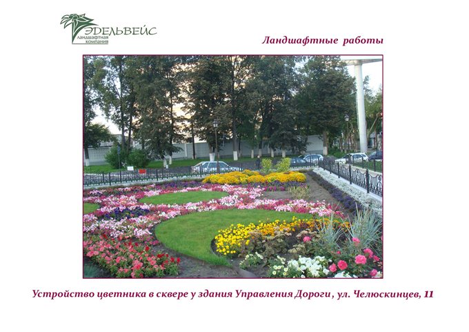 Портфолио 29